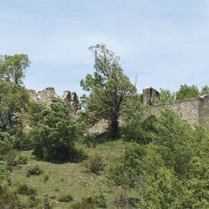 amocain-2-egues