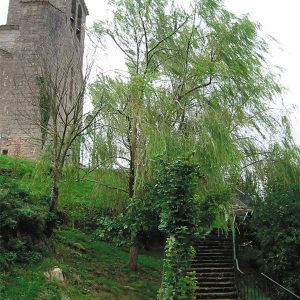 ardanaz7-egues
