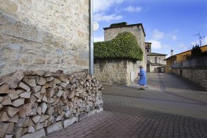 badostain-1-egues
