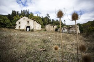 egulbati-3-egues