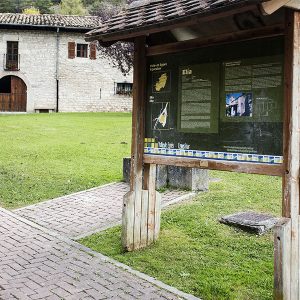 elia-1-egues