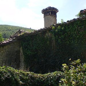 elia-12-egues