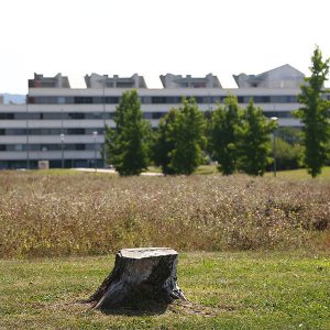 sarriguren10-egues