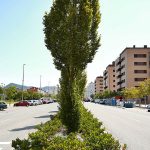 sarriguren11-egues