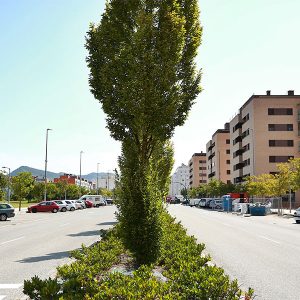 sarriguren11-egues
