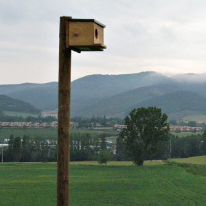 aterpeak6-egues