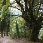 espacios-naturales-elgulbati2-egues
