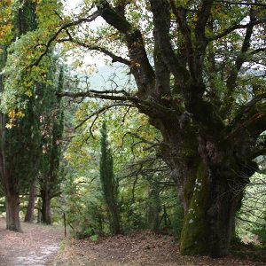 espacios-naturales-elgulbati2-egues