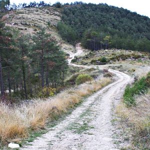 espacios-naturales-elgulbati4-egues
