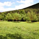 espacios-naturales-elgulbati5-egues