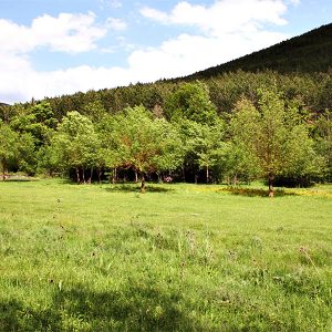 espacios-naturales-elgulbati5-egues