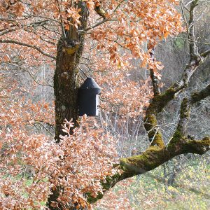 espacios-naturales-elgulbati7-egues