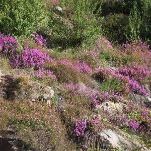 espacios-naturales-elia3-egues