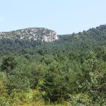 espacios-naturales-elia4-egues