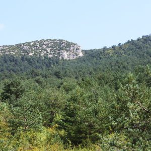 espacios-naturales-elia4-egues