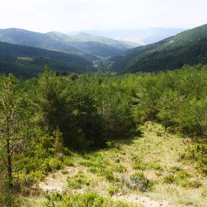 espacios-naturales-elia5-egues