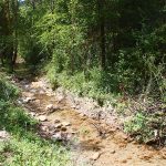 espacios-naturales-elia8-egues