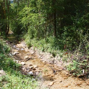 espacios-naturales-elia8-egues