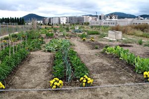 huertos-ecologicos-egues