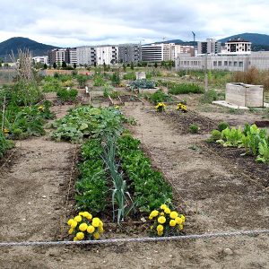 huertos-ecologicos-egues
