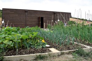 huertos-ecologicos3-egues