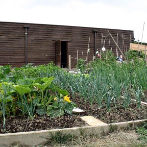 huertos-ecologicos3-egues