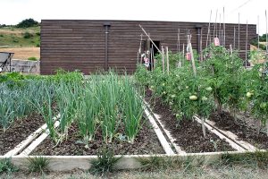 huertos-ecologicos4-egues