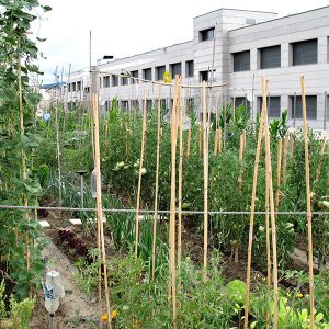 huertos-ecologicos5-egues