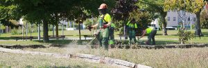 medio-ambiente-egues