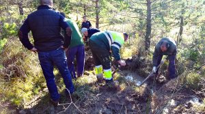 voliuntariado-ambiental4-egues