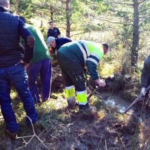 voliuntariado-ambiental4-egues