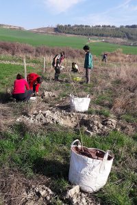 voliuntariado-ambiental8-egues