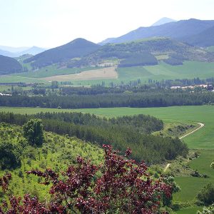 alzuza-egues