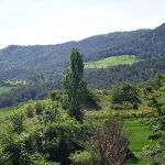 azpa-egues