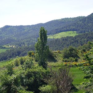 azpa-egues
