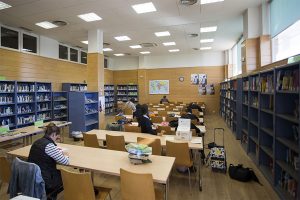 biblioteca-olaz-4-egues