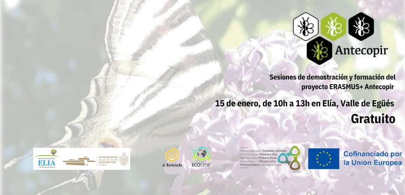 Foto evento